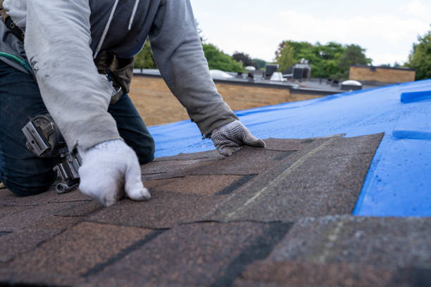 Best Roof Leak Repair  in Tresckow, PA